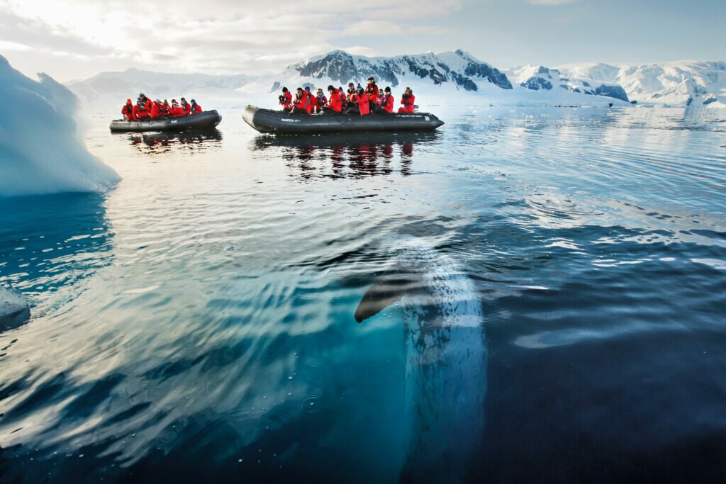 Silversea Antarctica