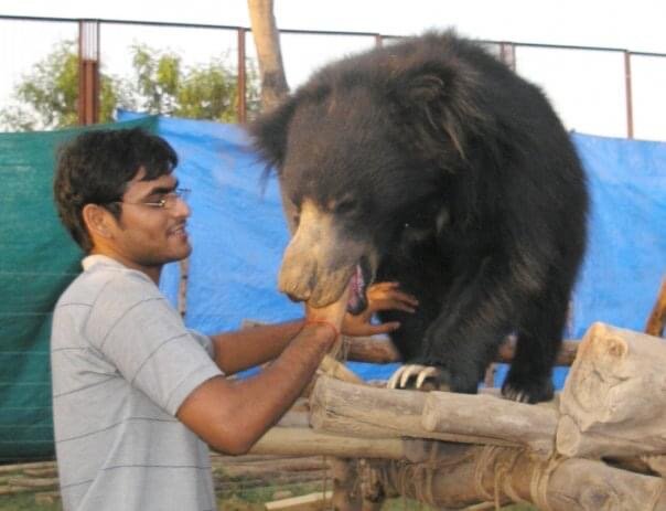 Rohit Singh with a rescued bear